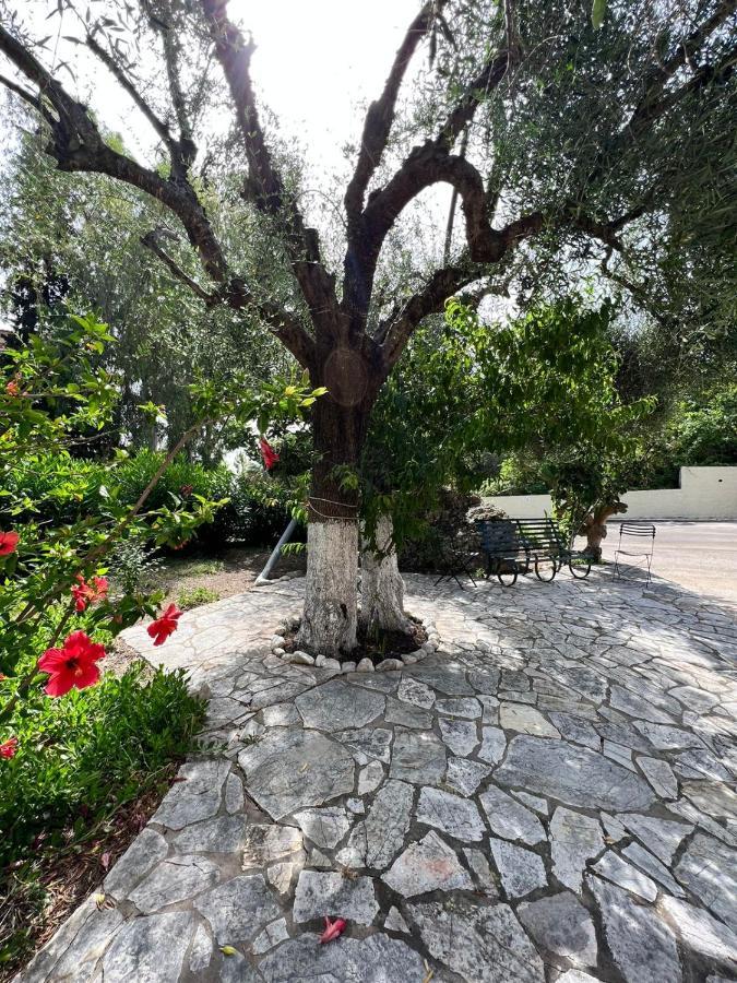 Lithino - 5min From The Appartement Agios Ioannis Peristerion