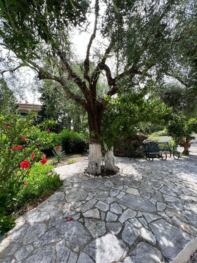 Lithino - 5min From The Appartement Agios Ioannis Peristerion